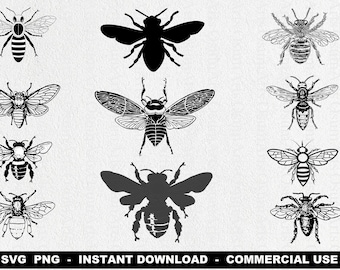 Bee Bundle SVG, Set Of 11, Bee Svg File, Bee Cricut File, Bee Svg, Honey Bee Svg, Bee Cut File, Bees Svg, Commercial Use Svg, Bundle Svg