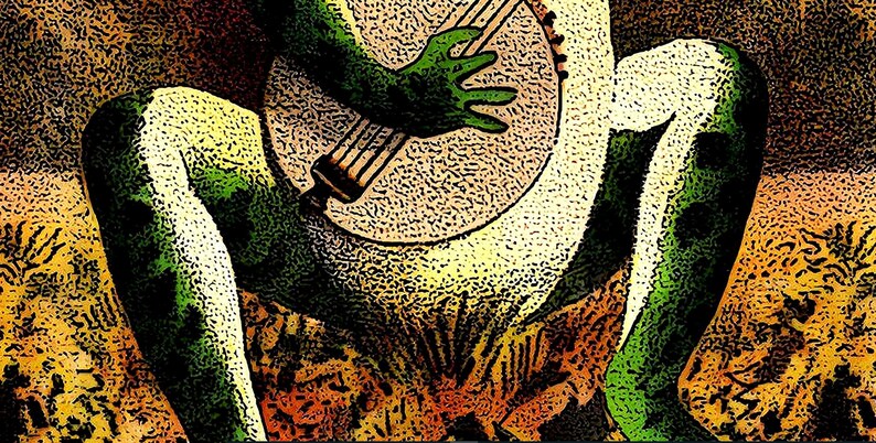 Puede incluir: Una rana verde tocando un banjo. La rana est&aacute; sentada sobre un fondo marr&oacute;n y naranja con un patr&oacute;n floral.