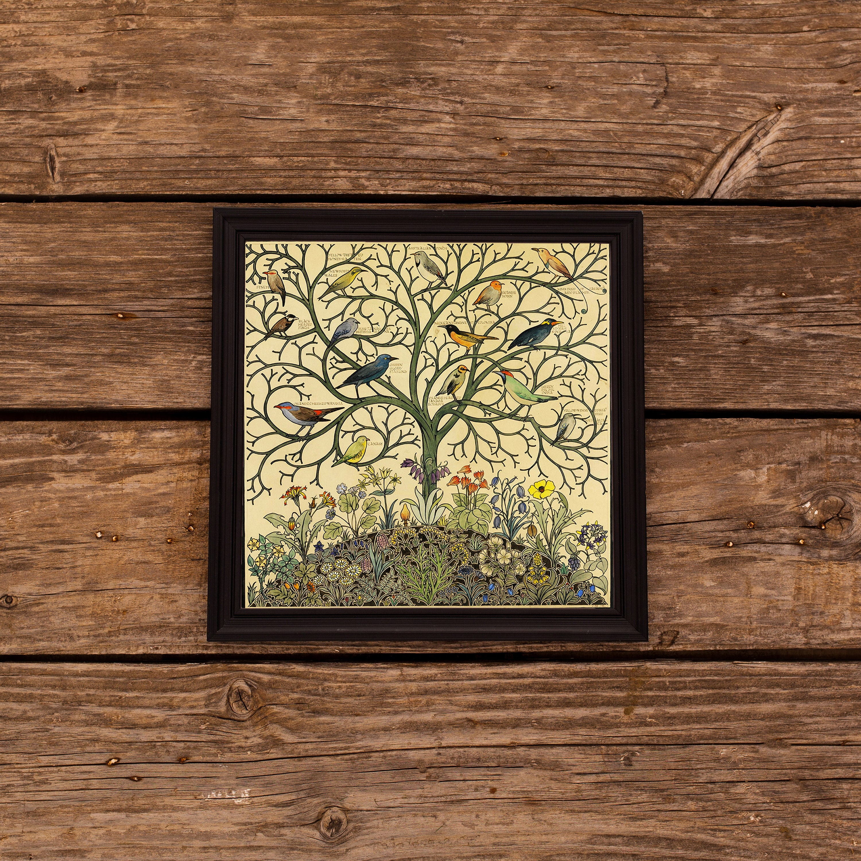 Antique Tree of Life Painting With Songbirds - Vintage Birds Art Print ...