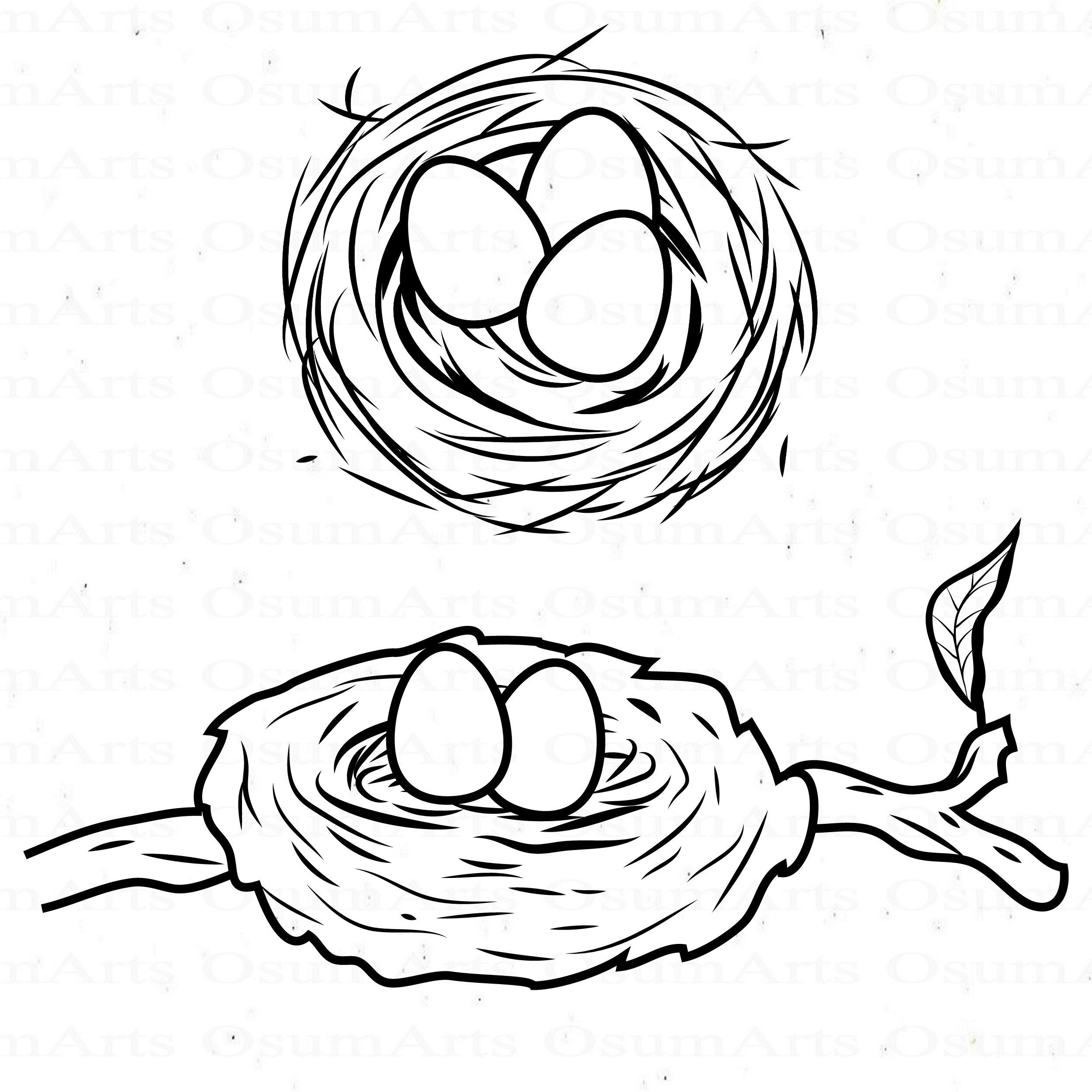 Bird Nest SVG Bundle Bird Nest Clipart Bird Nest Files for Etsy