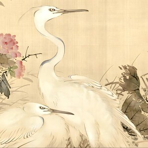 Vintage botanical bird artwork inspired by Japan