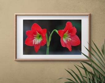 Blumen-Fotografie, rote Blumen-Druck, Natur-Fotografie, Blumen-Fotografie, rote Blumen Wandkunst, Blumen Kunstdruck, druckbare Wandkunst