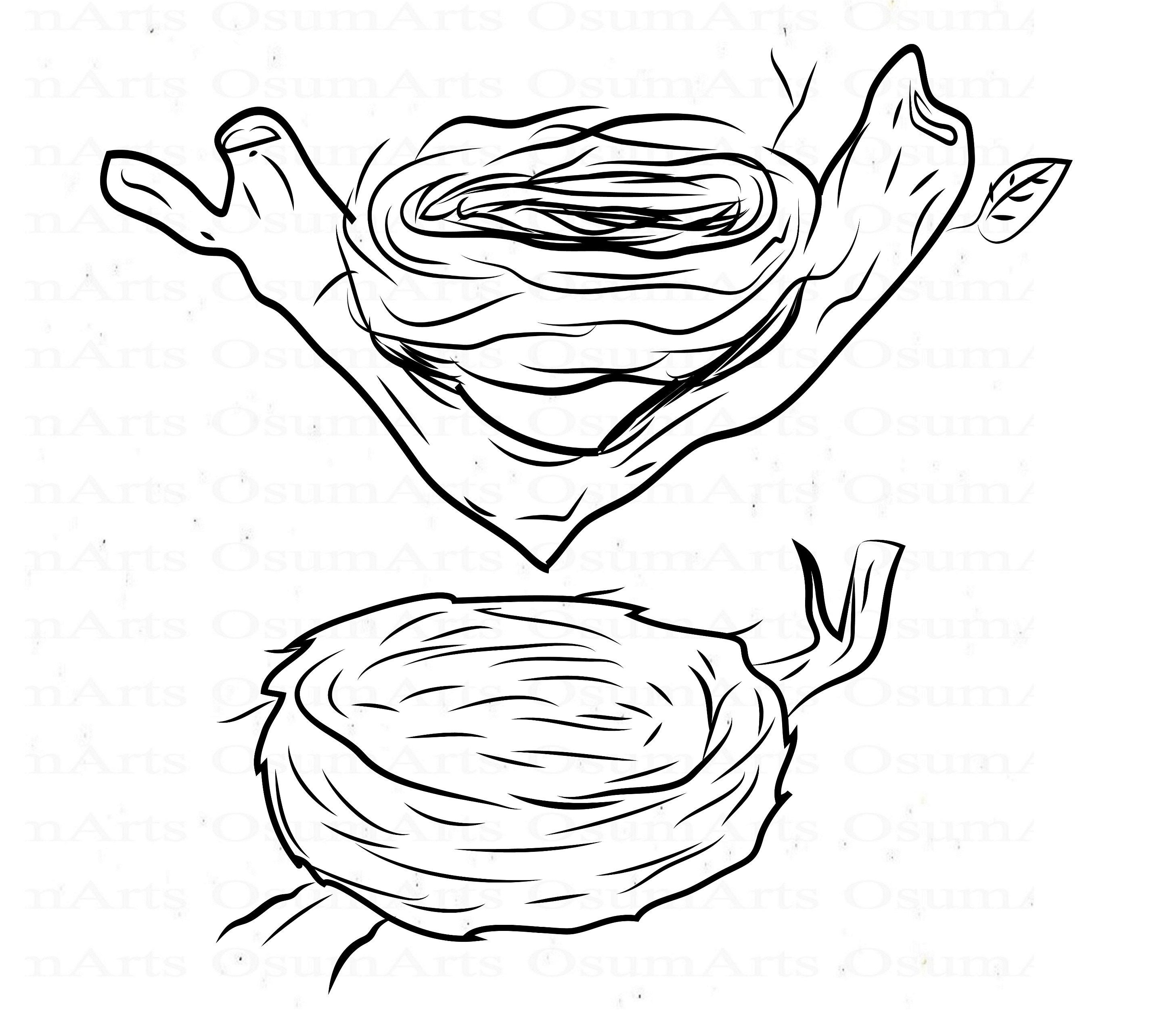 Bird Nest SVG Bundle Bird Nest Clipart Bird Nest Files for Etsy