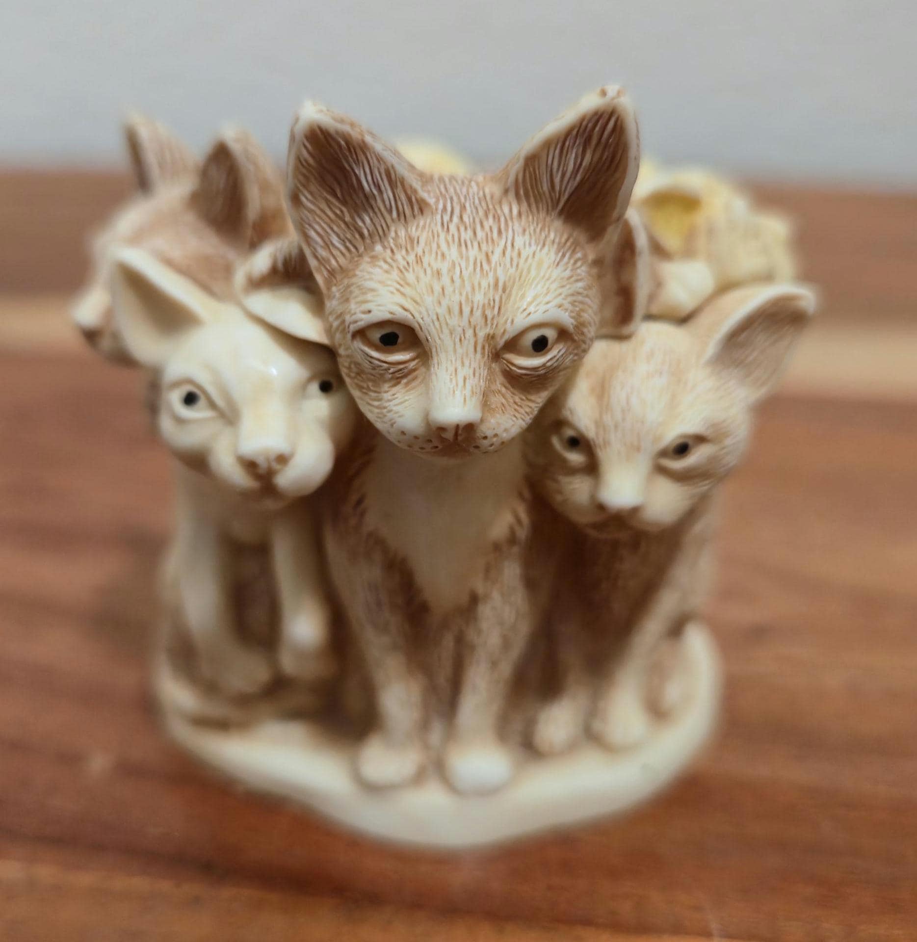 Harmony Kingdom Box Cats - Etsy