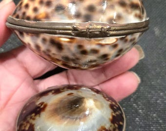 2 Vintage Genuine Seashell with Brass Hinged/Clasp Trinket Boxes