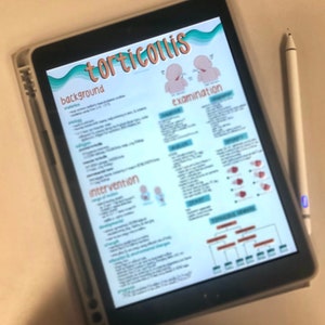 Torticollis & Plagiocephaly DIGITAL Study Guide