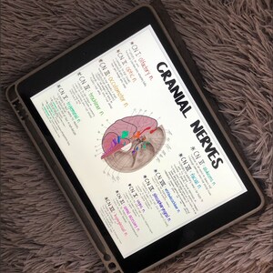 Cranial Nerves DIGITAL Study Guide