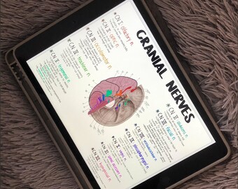 May include: A digital tablet displaying a detailed diagram of cranial nerves, with labels and illustrations in various colors. The text "CRANIAL NERVES" is prominently displayed. The tablet is in a protective case, resting on a fluffy, gray surface.