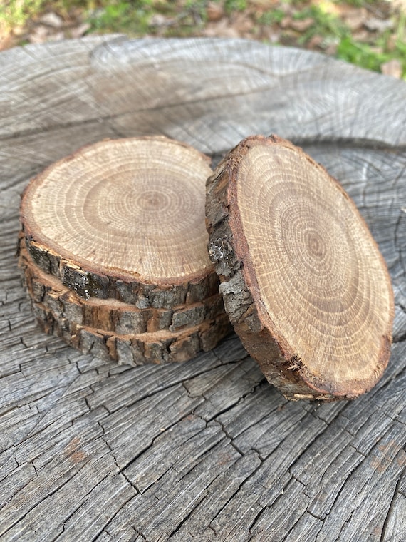 Wooden Coasters Set of 4, Wood Coasters, Wooden Table Decor, Natural Wood  Coasters, Rustic Coasters, Drink Coasters, Coaster Set, Coasters 