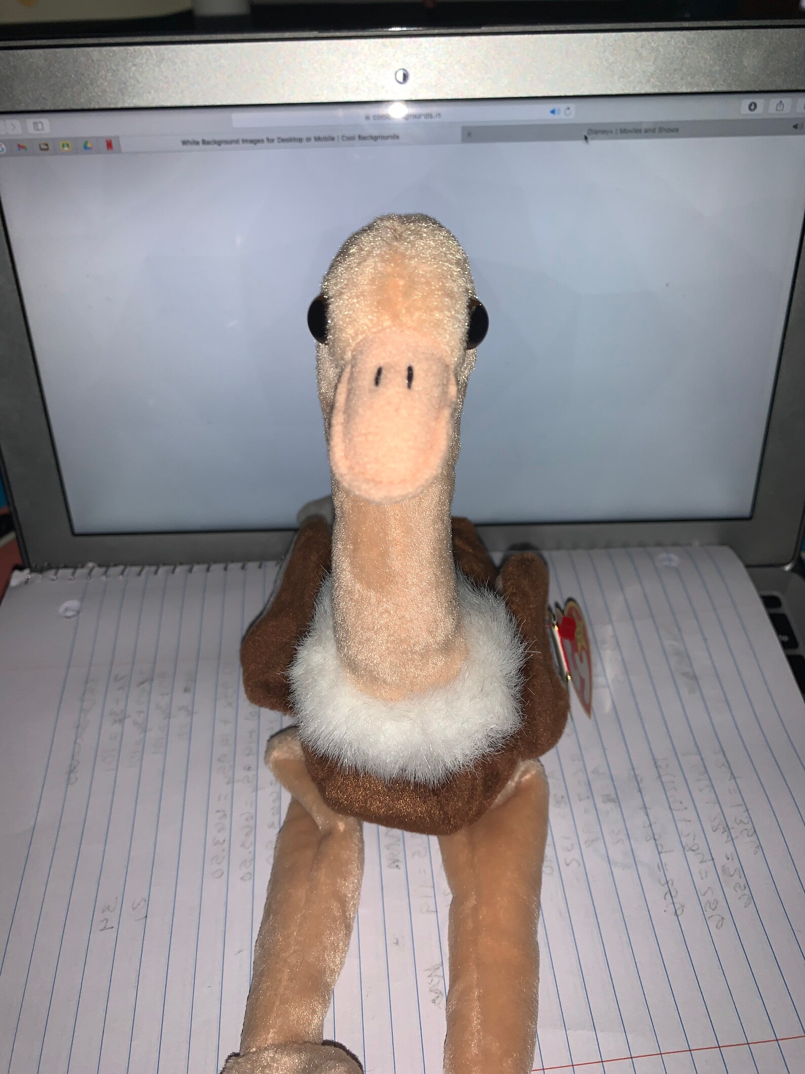 RARE Stretch TY Beanie Baby original 1996 Etsy