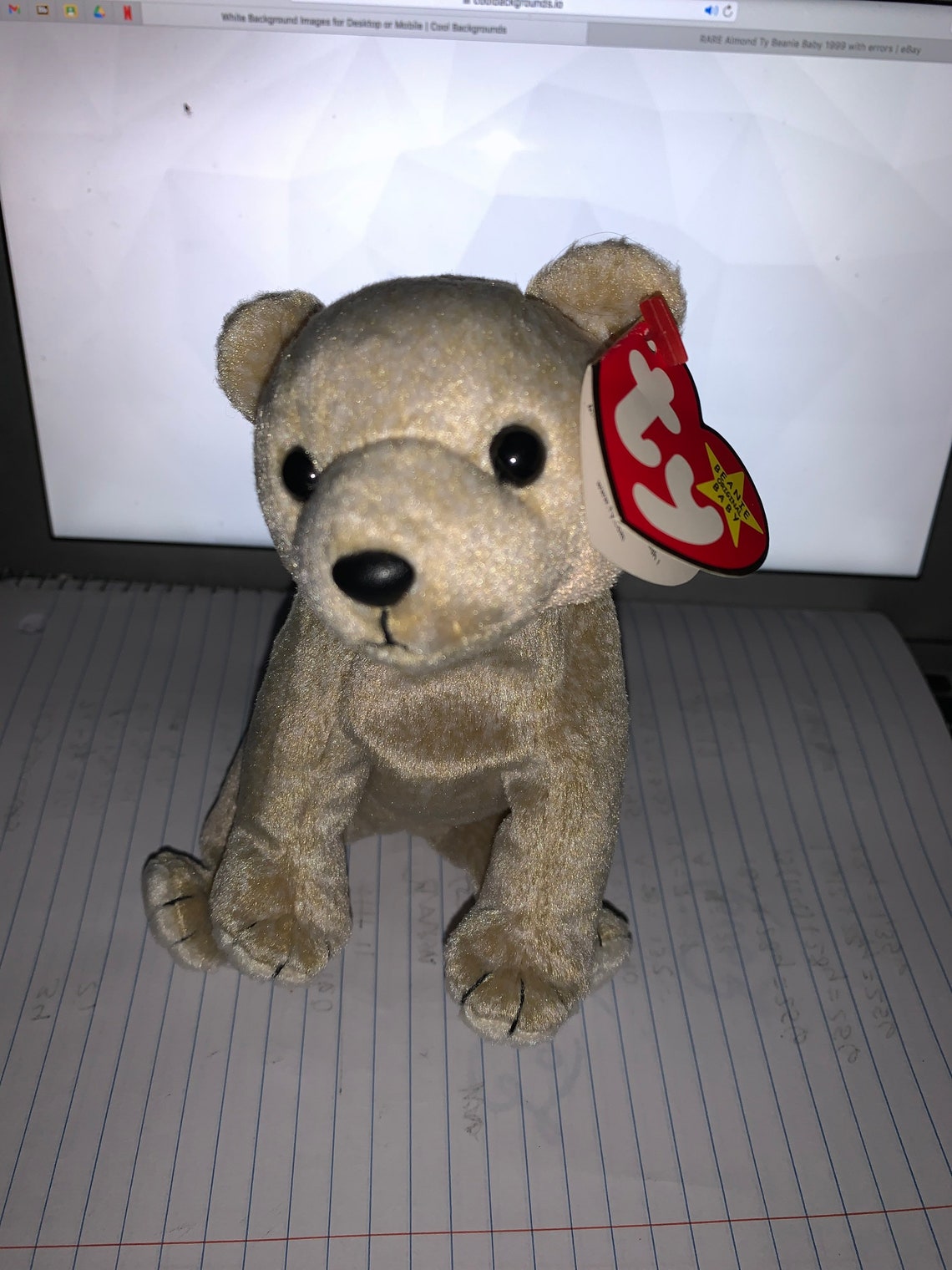 RARE Almond TY Beanie Baby Original 1999 Etsy
