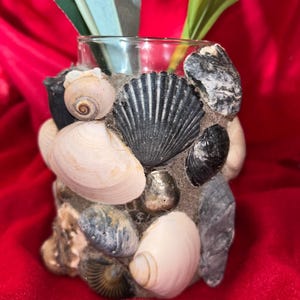 Handmade Seashell Jar