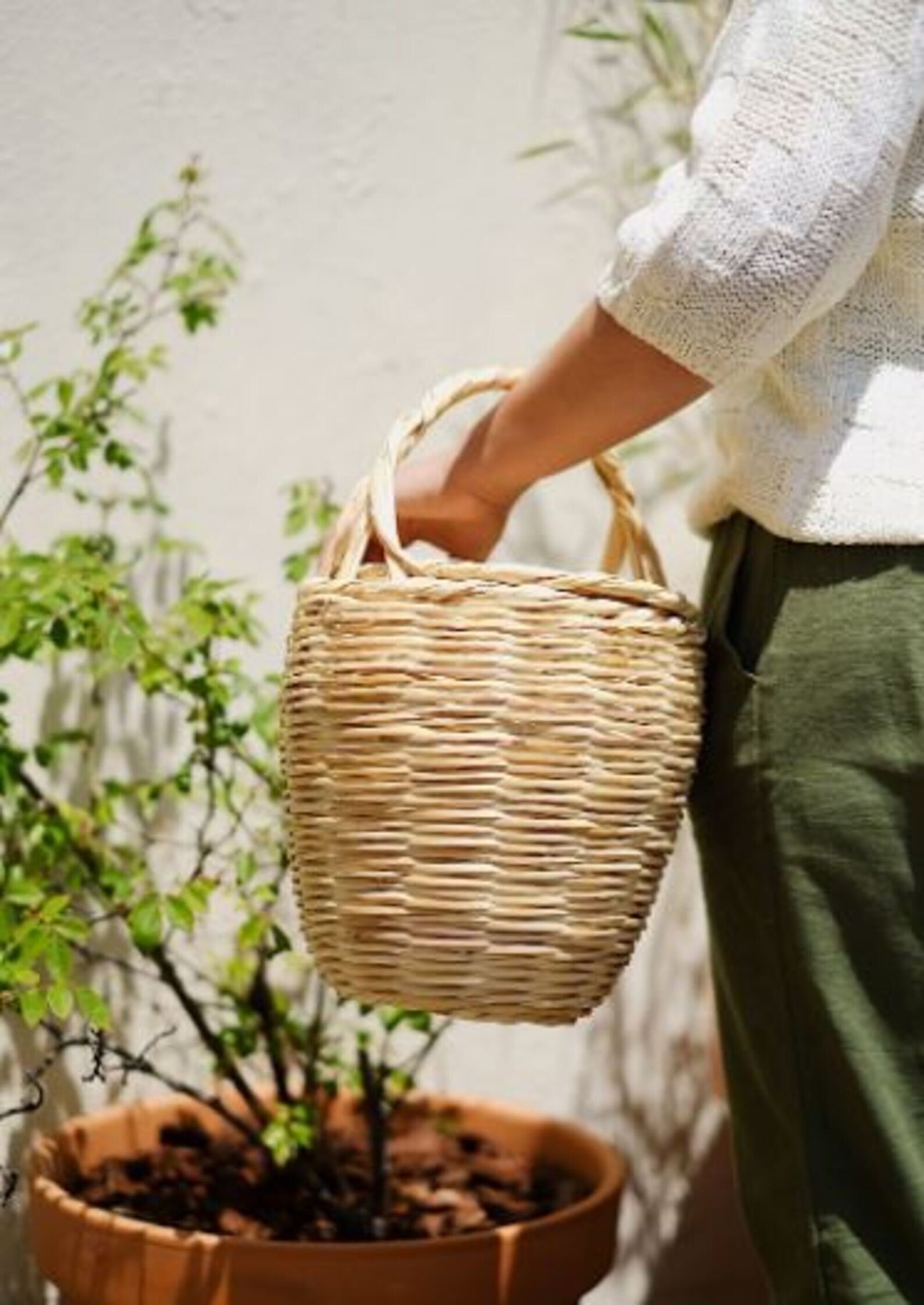 Natural Handmade Traditional Cane Basket with Lid Birkin Etsy