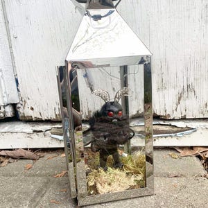 May include: A silver metal lantern with a mirrored finish contains a black, furry creature with red eyes and decorative wings. The creature stands on moss. The lantern is rectangular with a pyramid-shaped top.