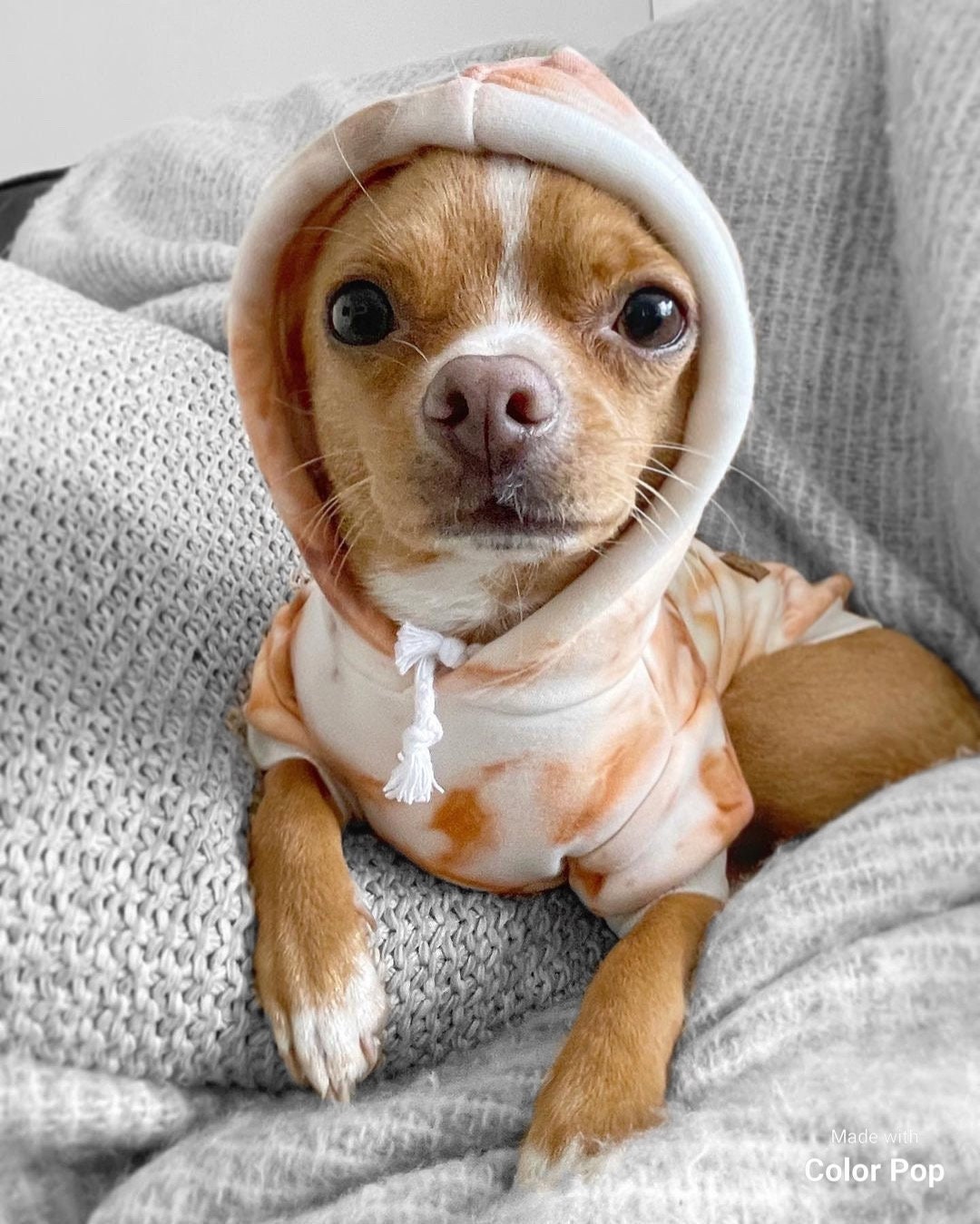 Rust Orange Dog Hoodie Dog Clothes Dog Sweatshirt Dog Jacket Dog Coat Dog Fashion Cool Dog Fashion Tie Dye Small Dog Coat Puppy Etsy