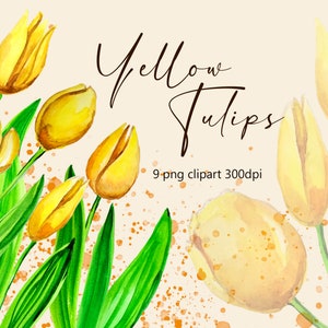 Watercolor Tulip Clip Art, Yellow Tulips Clipart, Hand Painted Tulips, Spring flowers, Blossom, Individual 9 PNG files.