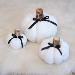 Cozy pumpkin centerpiece thanksgiving tablescape thanksgiving table decor fall hosting decor housewarming gift first home hostess gift