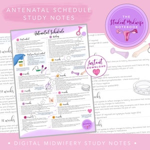 May include: A pink and white printable study guide for student midwives. The guide includes a schedule of antenatal appointments with a list of tasks to complete at each visit. The guide also includes a section on how to document patient care.