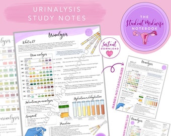 Urinalysis Study Notes – Midwifery & Nursing Revision (Digital PDF)