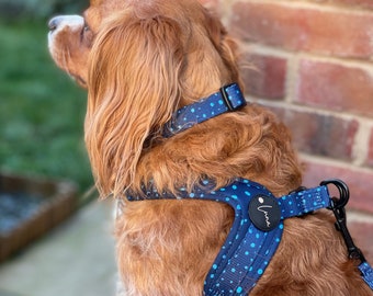 etsy harness dog