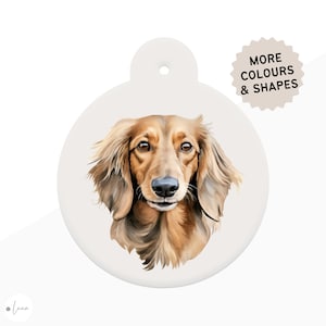 Teckel Hond ID Tag aquarel stijl met 6 ras kleuropties in 6 vormen gepersonaliseerde teckel huisdier ID tag