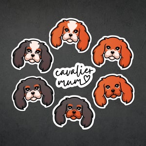 Cavalier King Charles Spaniel die cut vinyl stickers • Kiss cut stickers • Weatherproof stickers in 6 Cavalier colours • Dog mum stickers