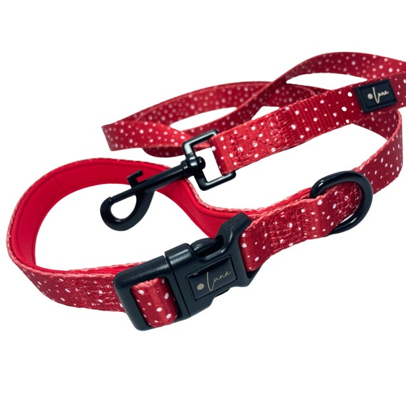 etsy dog leads