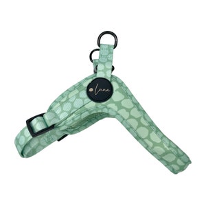 Step-in dog harness "Dotty for You - Summer Sage" spotty dog harness, adjustable step-in harness with speckles, green harness for dogs