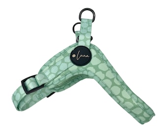 May include: A green dog harness with a black buckle and a black tag that says "Luna" in gold lettering.