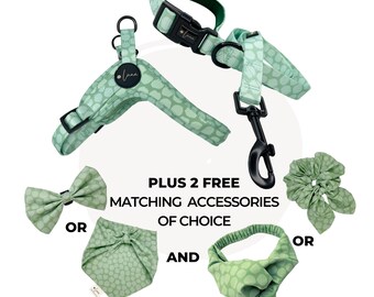 Dog harness and lead set with 2 FREE matching accessories Dotty for You - Summer Sage Green step in adjustable harness set S-XL