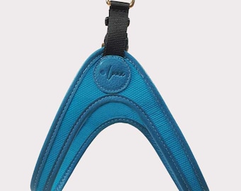 May include: A blue leather dog harness with a gold metal ring and a black strap. The harness has a V-shaped design and the brand name "Vena" is embossed on the front.