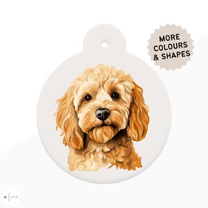 Cockapoo clearance skin tags