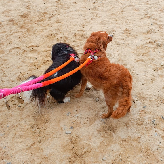 Pink Orange Ombre Cotton Rope Dog Lead 150cm Hand Died Rope Lead