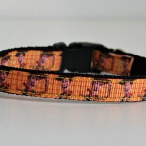 Breakaway Woody Toy Story Katt Kattunge Valp Säkerhetshalsband 3/8" Ringklocka