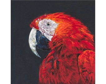 Parrot Giclee Print