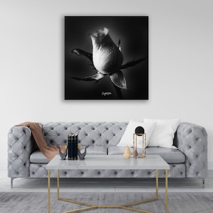 Rose in Black and White, Acrylic/Metal/Canvas Photo Wall Art, &quot;Dew&quot; Eye catching for your wall, Gifts for special days.