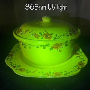 Può includere: Una ciotola in ceramica gialla con coperchio e un piatto abbinato. La ciotola e il piatto sono decorati con un motivo floreale in marrone e verde. L'immagine è stata scattata sotto una luce UV da 365 nm, che fa brillare la ciotola e il piatto.