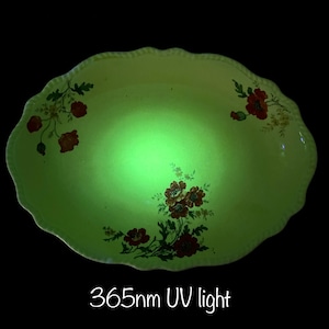 Può includere: Un piatto da portata ovale bianco con un bordo ondulato e un motivo floreale in tonalità di rosso, verde e marrone. Il piatto è illuminato da una luce UV da 365 nm, che fa brillare il motivo floreale.