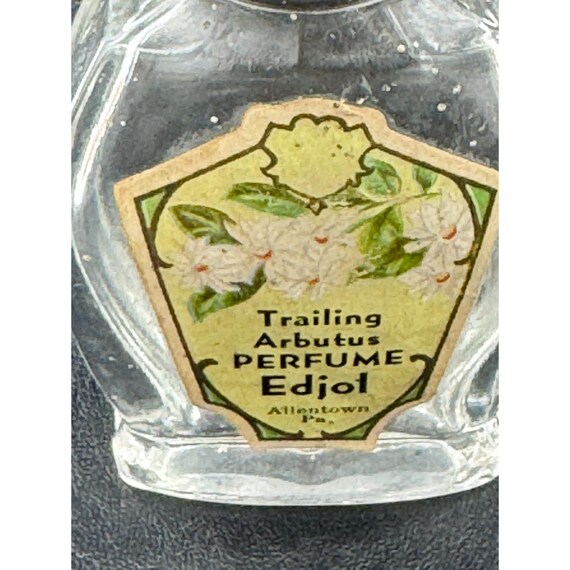 Vintage Empty Perfume Bottle Trailing Arbutus Edj… - image 5