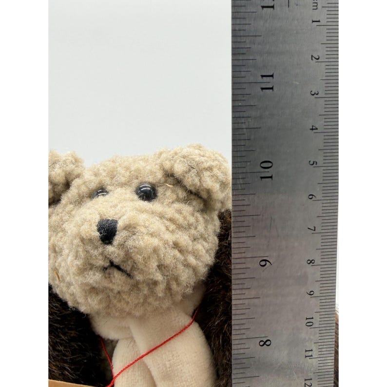 May include: A close-up of a teddy bear with a light brown head and dark brown fur around the ears. The bear has black eyes and a black nose. A ruler is next to the bear, showing measurements in inches.