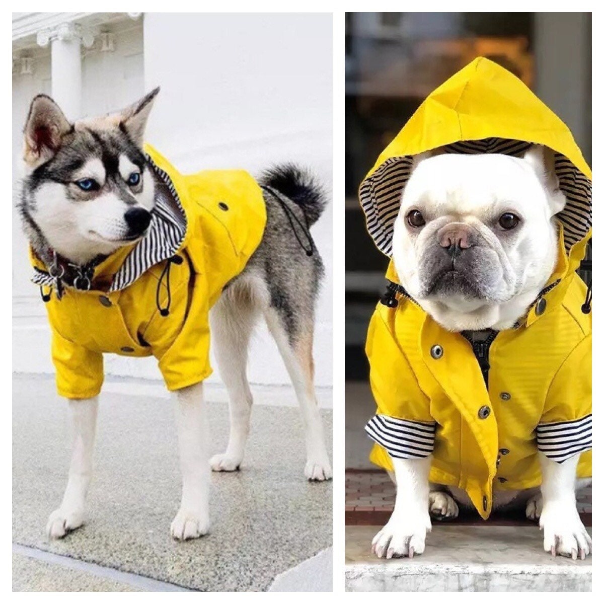 Waterproof Dog Raincoat Yellow Dog Rain Jacket Dog Coat Etsy