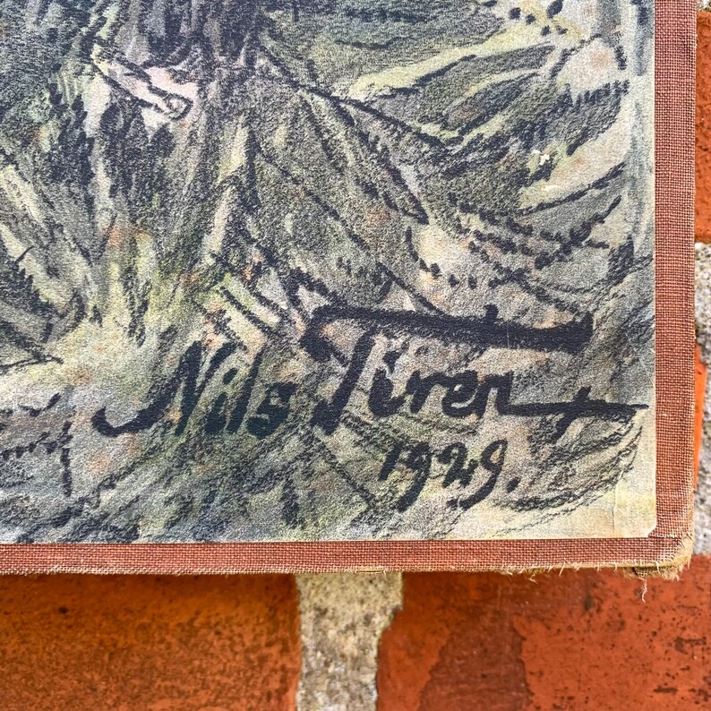 Rare 1930 Vintage Swedish School Chart by Nils Tirén "ormvråk