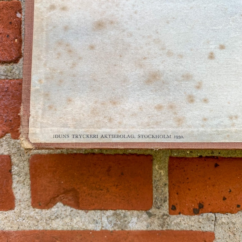 Rare 1930 Vintage Swedish School Chart by Nils Tirén "ormvråk