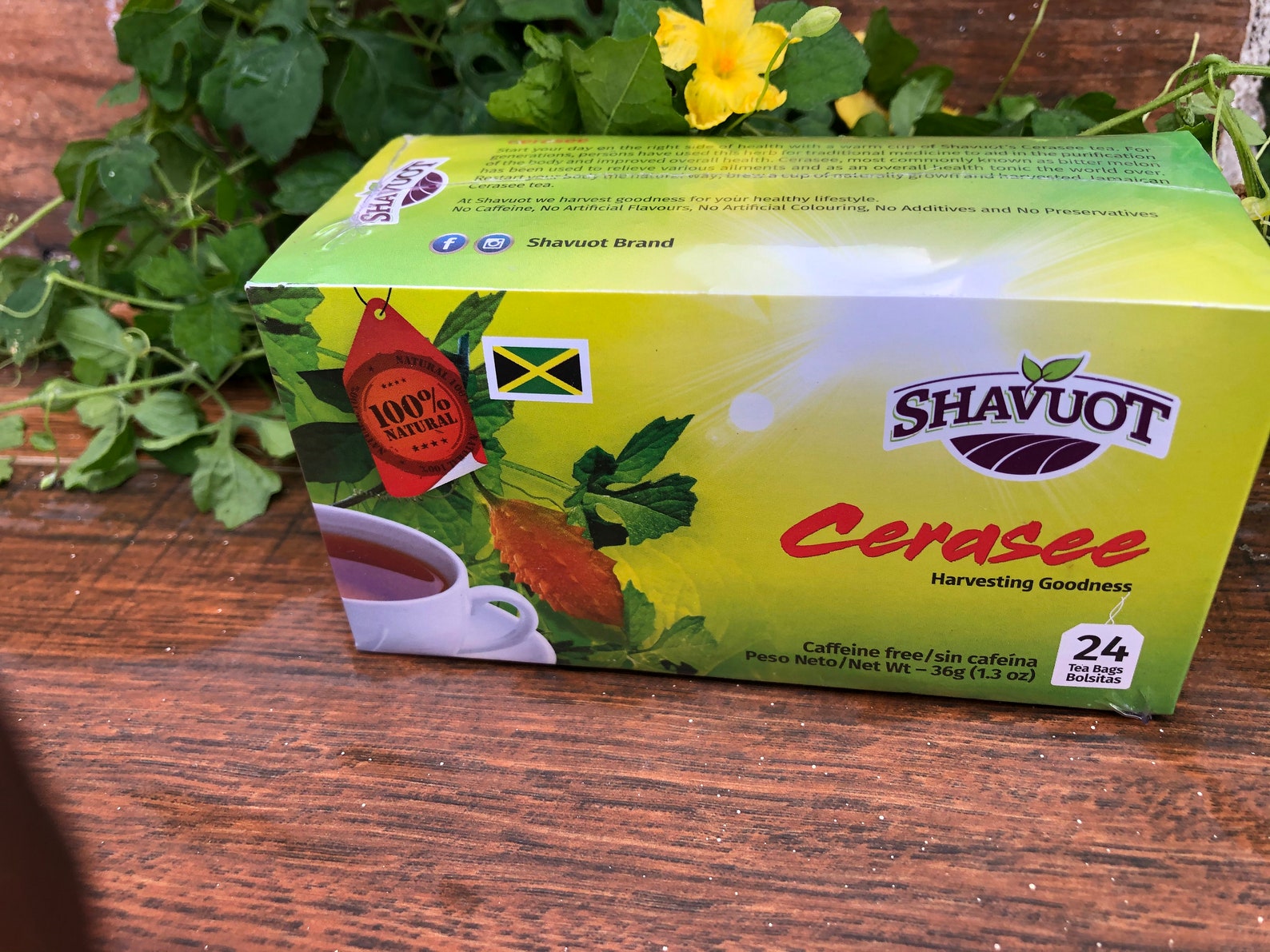 Jamaican Cerasee Tea Bitter Melon Jamaican Herb Etsy