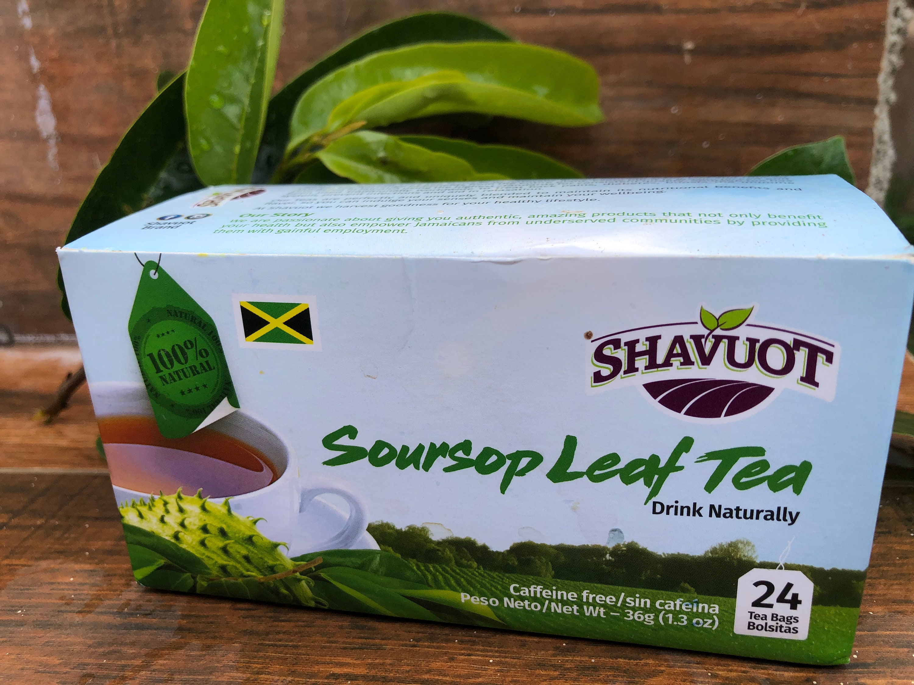 Dried Jamaican Soursop Leaf Tea Soursop Tea Guanabana Tea Etsy