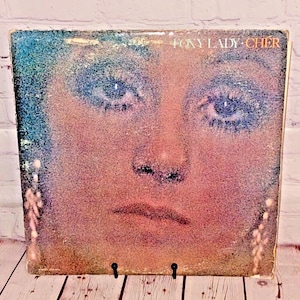 Cher &quot;Foxy Lady&quot; Vinyl Record by MCA Records 1972 | 12&quot; 33 RPM | See Photos & Read Details