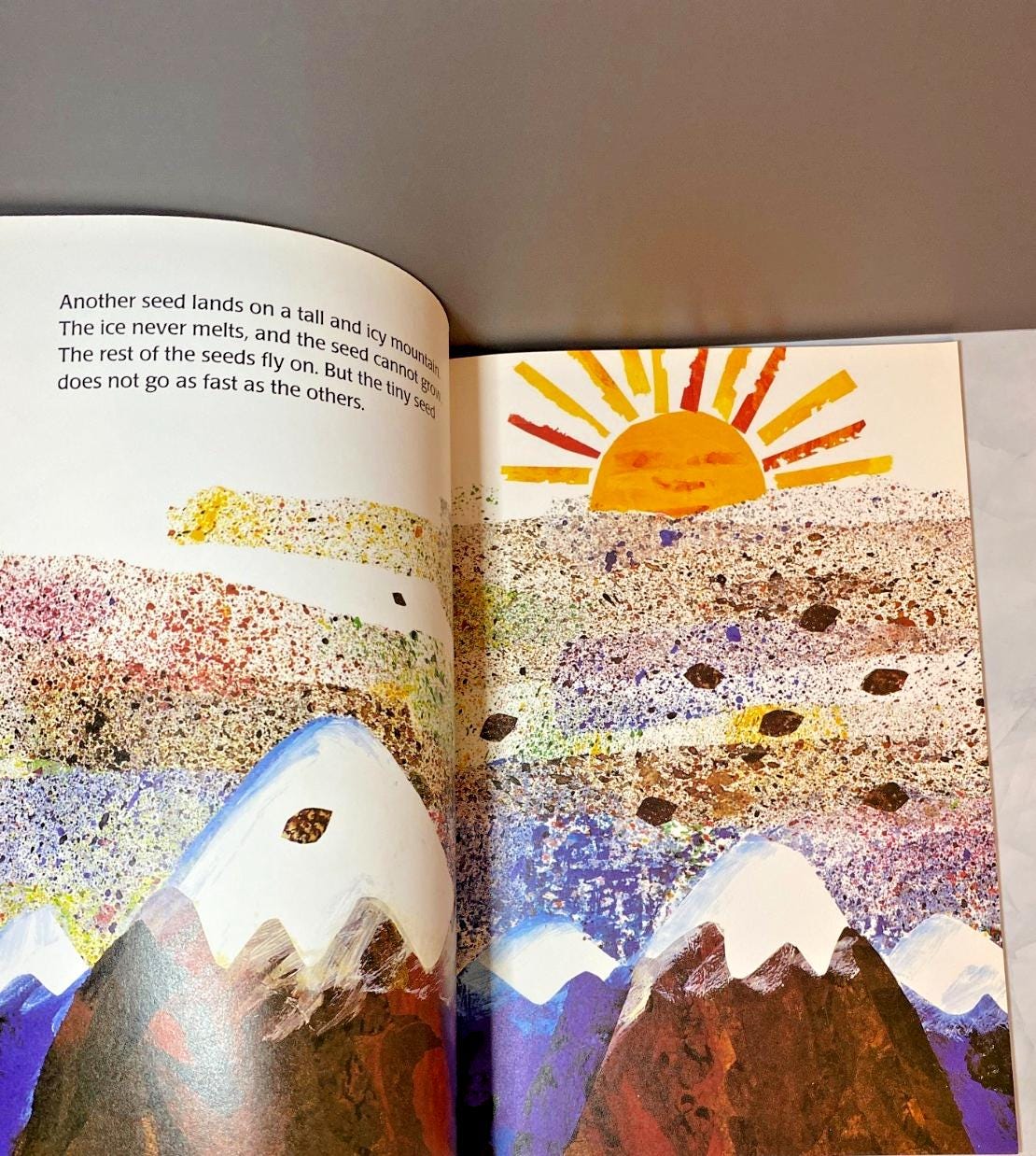 The Tiny Seed Softcover Book by Eric Carle, 1989 Scholastic - Etsy
