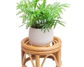 Mini Unique Bamboo Plant Stand, Rattan Plant Stand Fits Indoor Plants, Modern Plant Stand with Wood Grain for Indoor Outdoor Home Decor