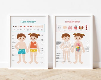Body Poster Set  | Educational Poster | Nursery Wall Art | Home School | Nursery Room | Kids Wall Art | Montessori | Kids Room Decor