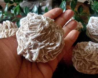 Puede incluir: Primer plano de un cristal de cuarzo rosa, también conocido como rosa del desierto, de color blanco y beige. El cristal tiene una estructura única, en capas y delicada que se asemeja a una rosa.